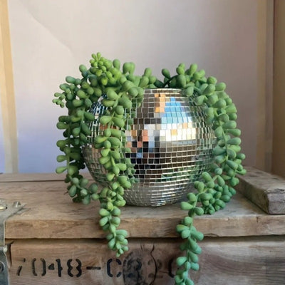 Disco Ball Planter