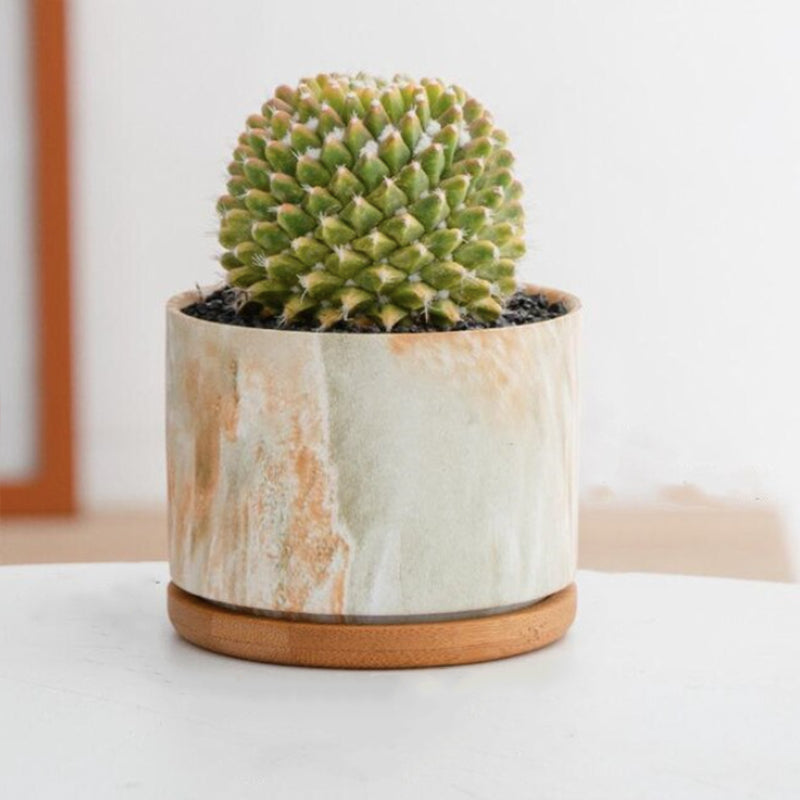 HomeTod™ Succulent Marble Pots