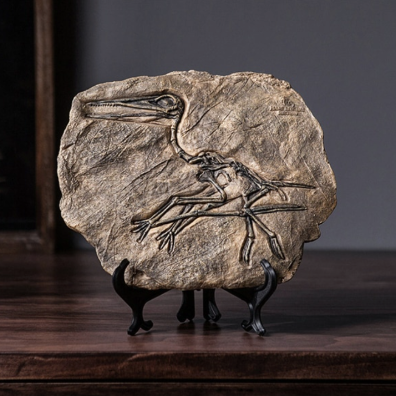 HomeTod™ Dinosaur Fossil