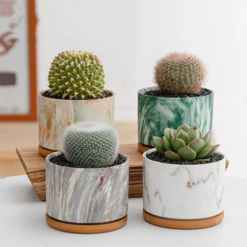 HomeTod™ Succulent Marble Pots