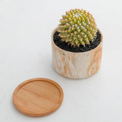 HomeTod™ Succulent Marble Pots